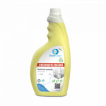 BAGNO | ORDINARIO BAGNO DETERGENTE PROFESSIONALE DISINCROSTANTE IGIENIZZANTE - DIRECT CLEAN